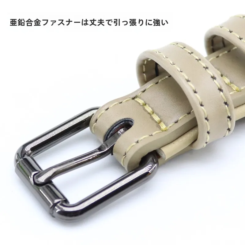 犬のお散歩グッズをコスパ良く揃える方法　完全ガイド