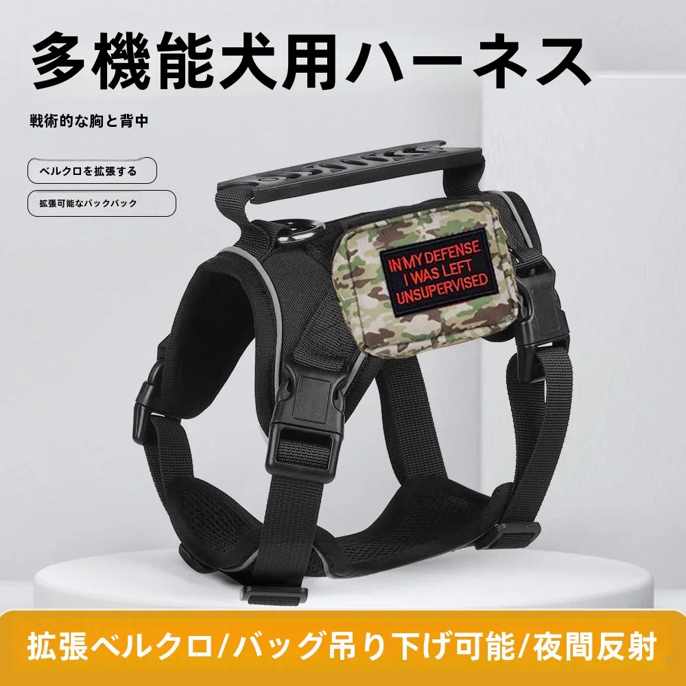 犬のお散歩グッズをコスパ良く揃える方法　完全ガイド・安全と実用性のバランス