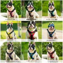 中大型犬用 ハーネス付きリード【サモエド・ゴールデンレトリバー対応・トレーニング用】