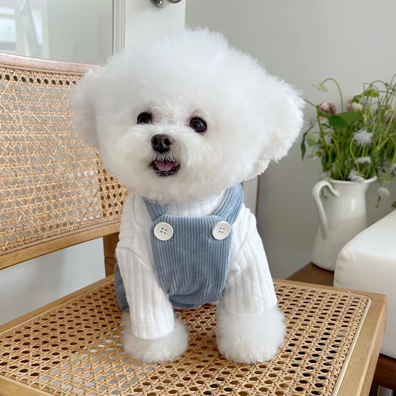 犬アウトレットで選ぶべきアイテムは？クマ刺繍サロペットが今、なぜ人気なのか