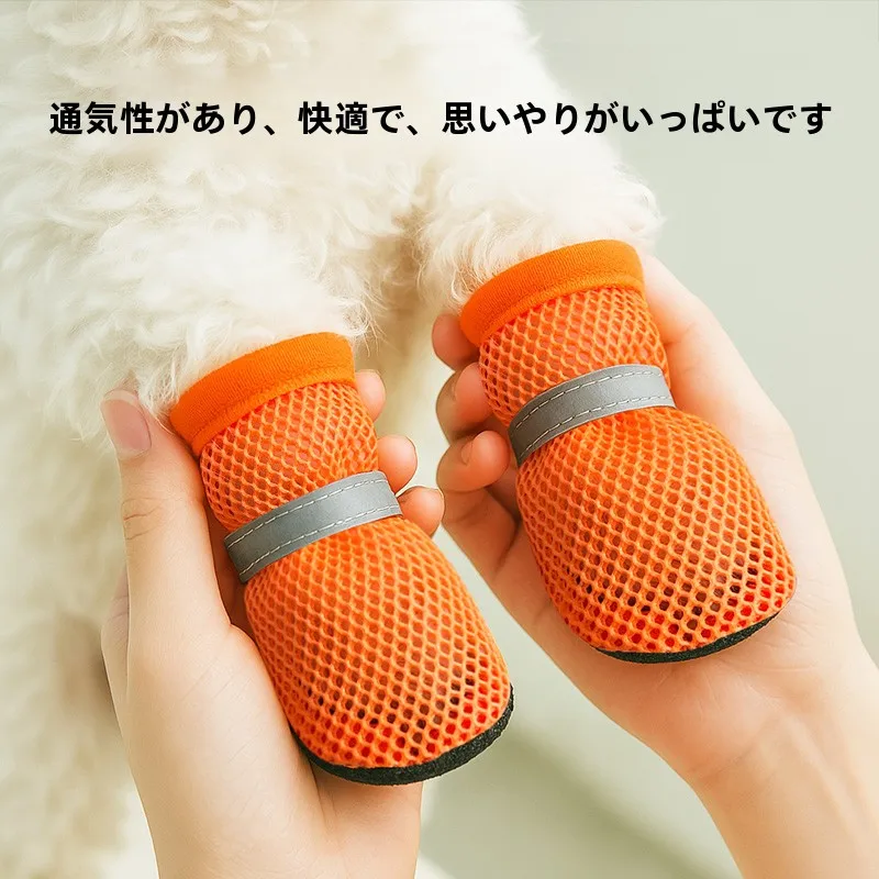 犬のお散歩グッズをコスパ良く揃える方法｜ソフト底シューズの選び方と実測ガイド