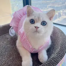 ペット用 可愛い猫用ドレス【春秋用・夏用・通気性・ブルー・キャミソールタイプ】