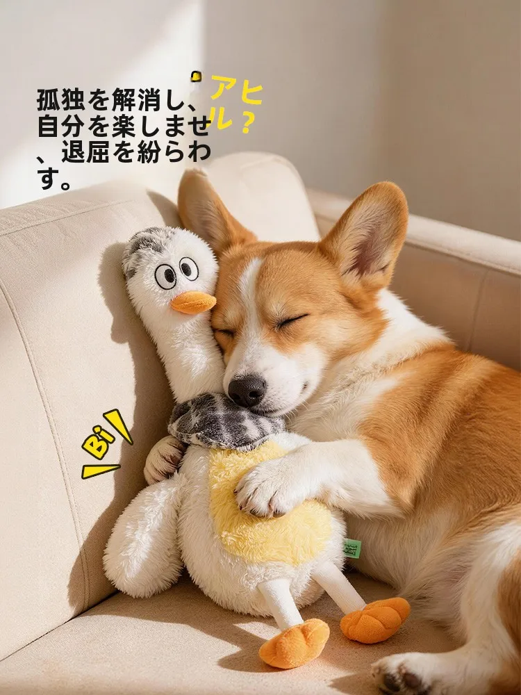 犬用玩具【毛布製・おしゃべり・歯磨き効果あり】の選び方と実際の使用シーン