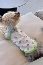 ペット用服【犬・猫用・通気性あり・夏用・清涼感のあるデザイン】