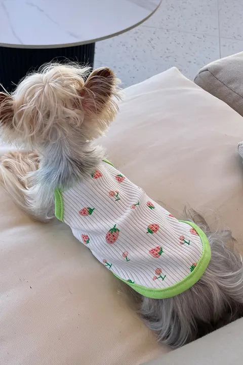 ペット用服【犬・猫用・通気性あり・夏用・清涼感のあるデザイン】