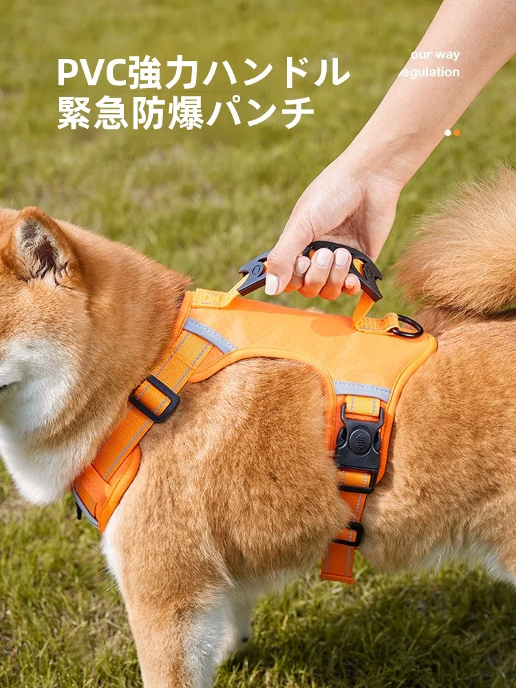 犬用引き紐付きハーネス：中大型犬向けの脱走防止と通気性を両立