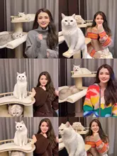 天然木製キャットタワー【多層階・キャットハウス・展示用】