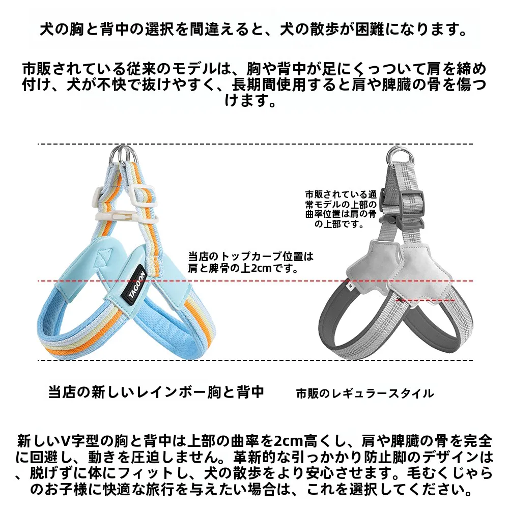 犬用ハーネス付きリード【防脱出設計】の実用性と選び方