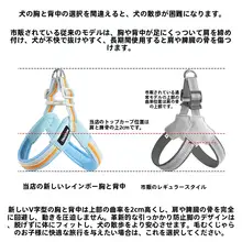 犬用ハーネス付きリード【中小型犬用・防脱出設計】