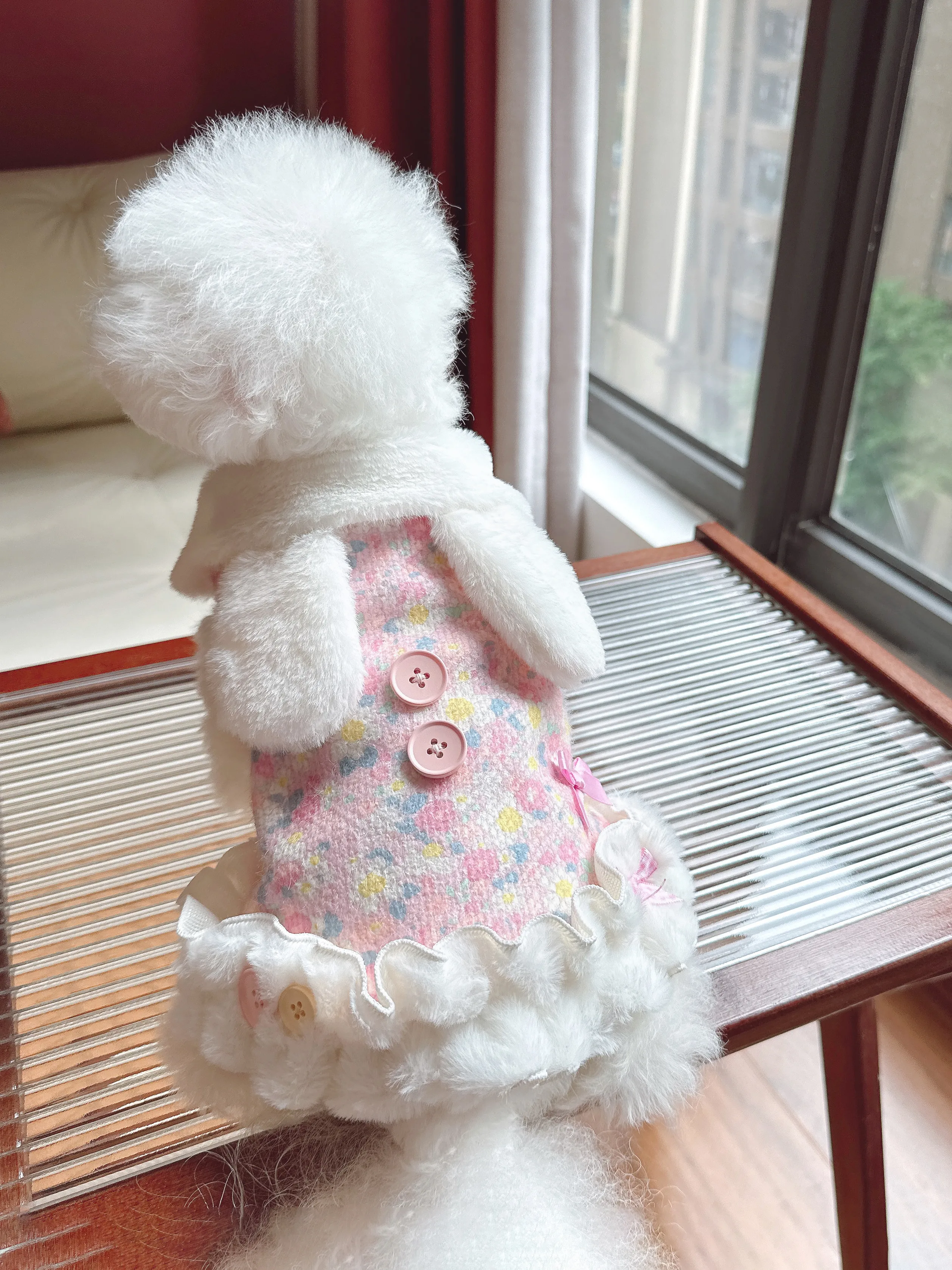 ペット服を自作する前に、この1着が本当に必要なのか？