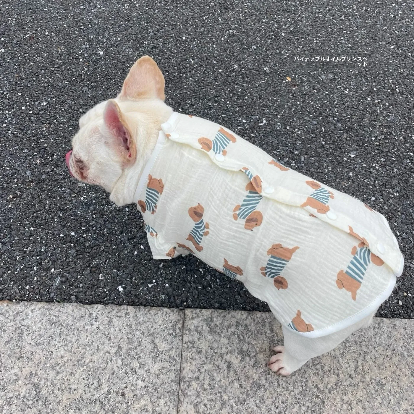 子供と暮らすとき、ペットの服はどんなものにしよう？