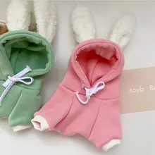 小型犬用衣服 秋冬新作 犬 猫 テディ ビション プードル ヨークシャー