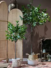 フェイクローズマリー 大型観賞植物 緑の植物 装飾品