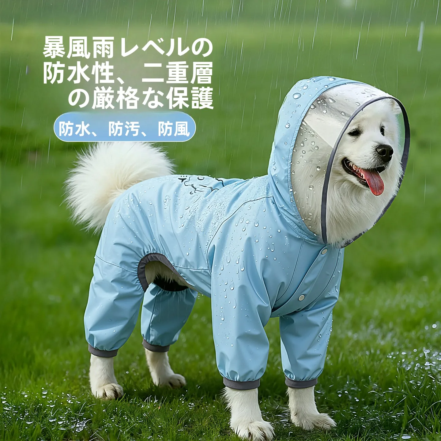 犬のお散歩グッズをコスパ良く揃える方法　完全ガイド