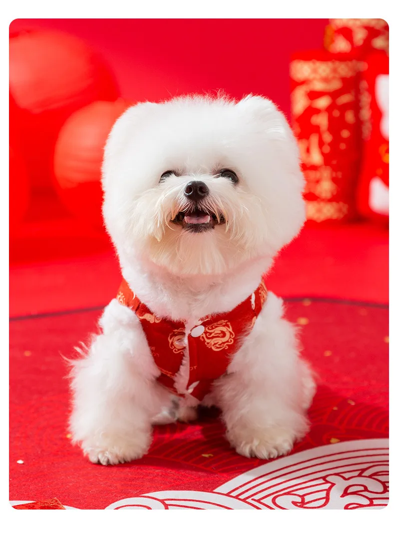 チーズクレストの飼育に最適な中国風洋服：冬用不倒绒マジックマントの実用性解析