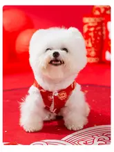 犬用 新年福袋型洋服【棉製・唐装・小型犬・秋冬用】（セットアップ対応）