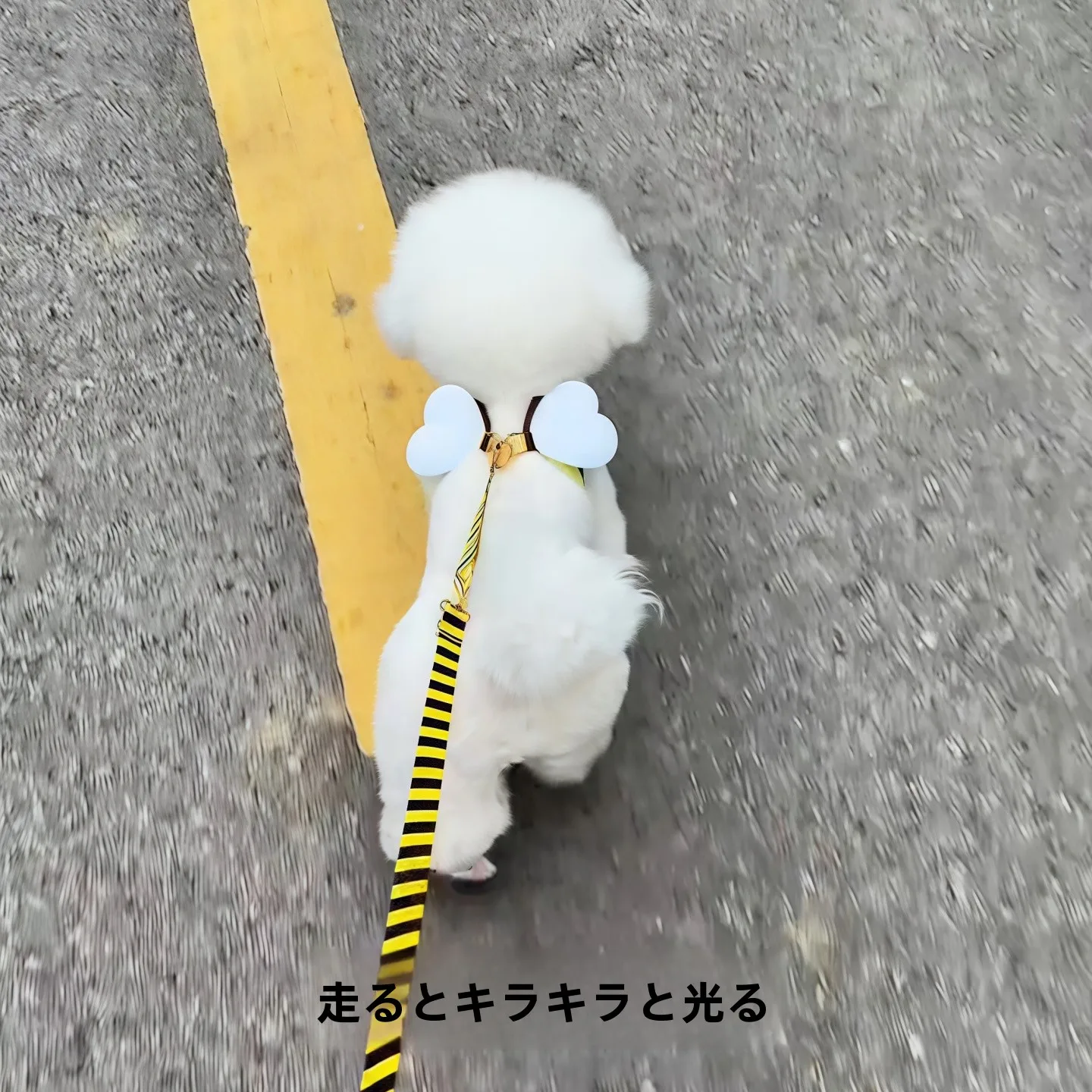 可愛いハチデザインの中小型犬用ハーネス：胸掛けスタイルで安全かつ快適な散歩を実現