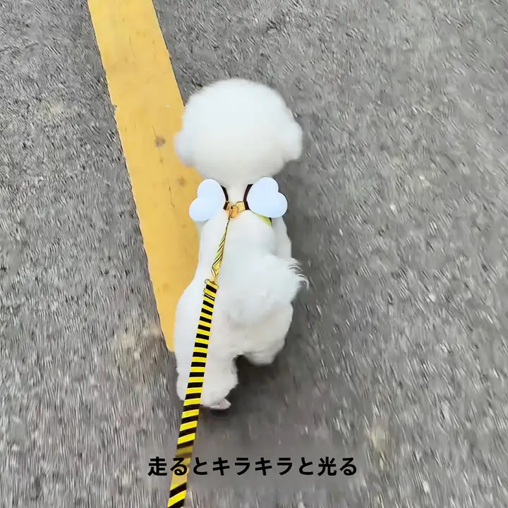 可愛いハチデザインの中小型犬用ハーネス【高品質・胸掛けスタイル・ペット用】
（セットアップ対応）