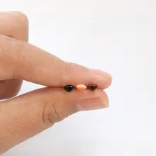 毛フェルト製ペットおもちゃ【カラフルなクリスタルの目・手作り・猫用】