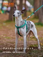 犬用ハーネス【引き締めない設計・小型から大型犬対応】