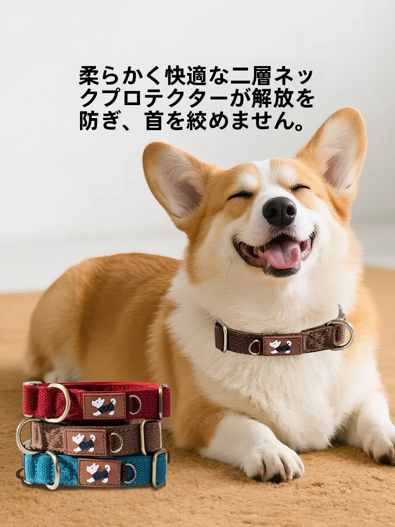 犬のお散歩グッズをコスパ良く揃える方法　完全ガイド