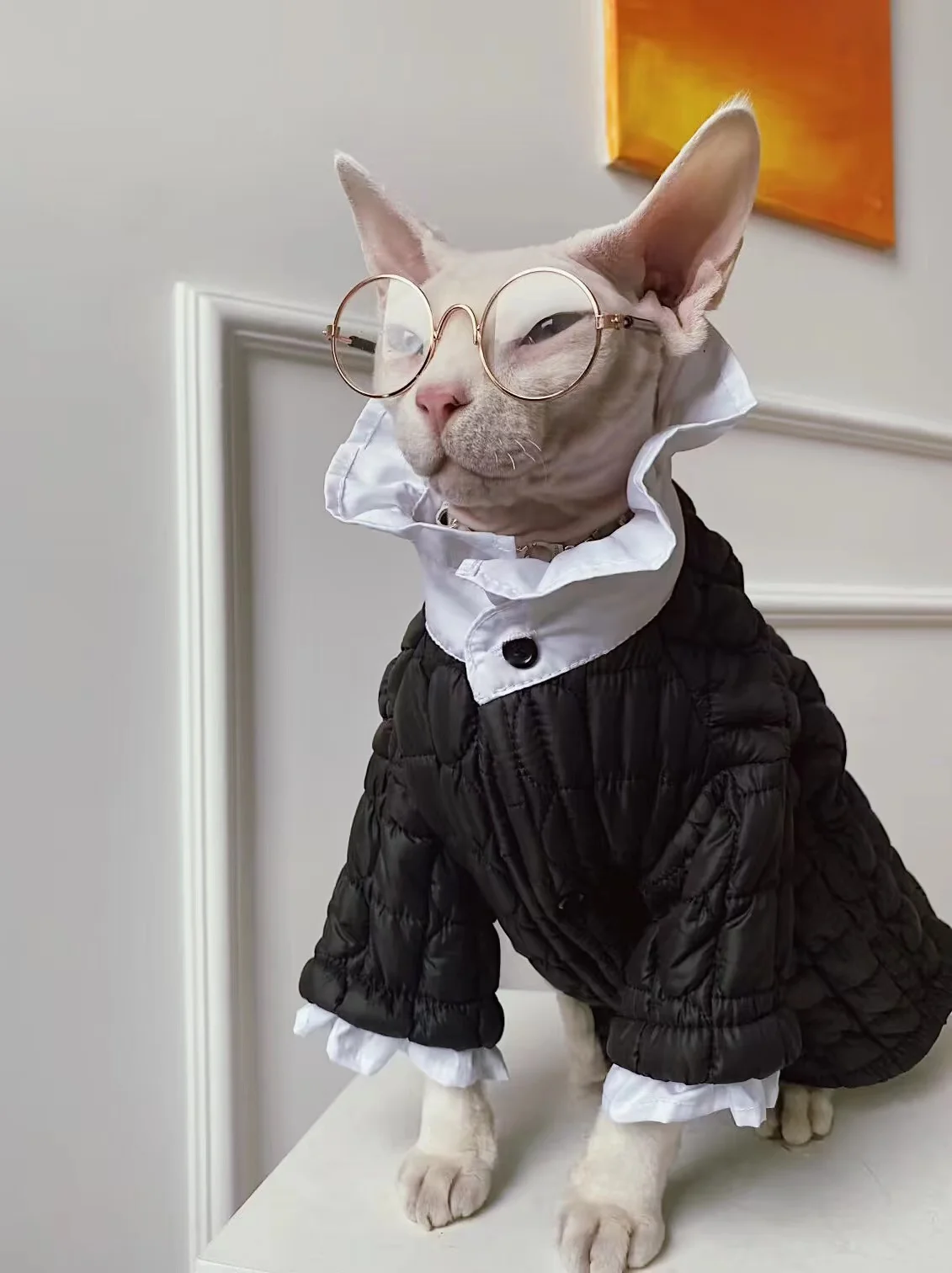 ズボラでも飼えるペットとしてのスフィンクス猫用冬用保温服