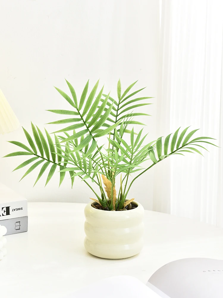 観葉植物 ザミオクルカスをどう選ぶ？リアルな造形と遊び心が融合したミニグリーンの魅力とは
