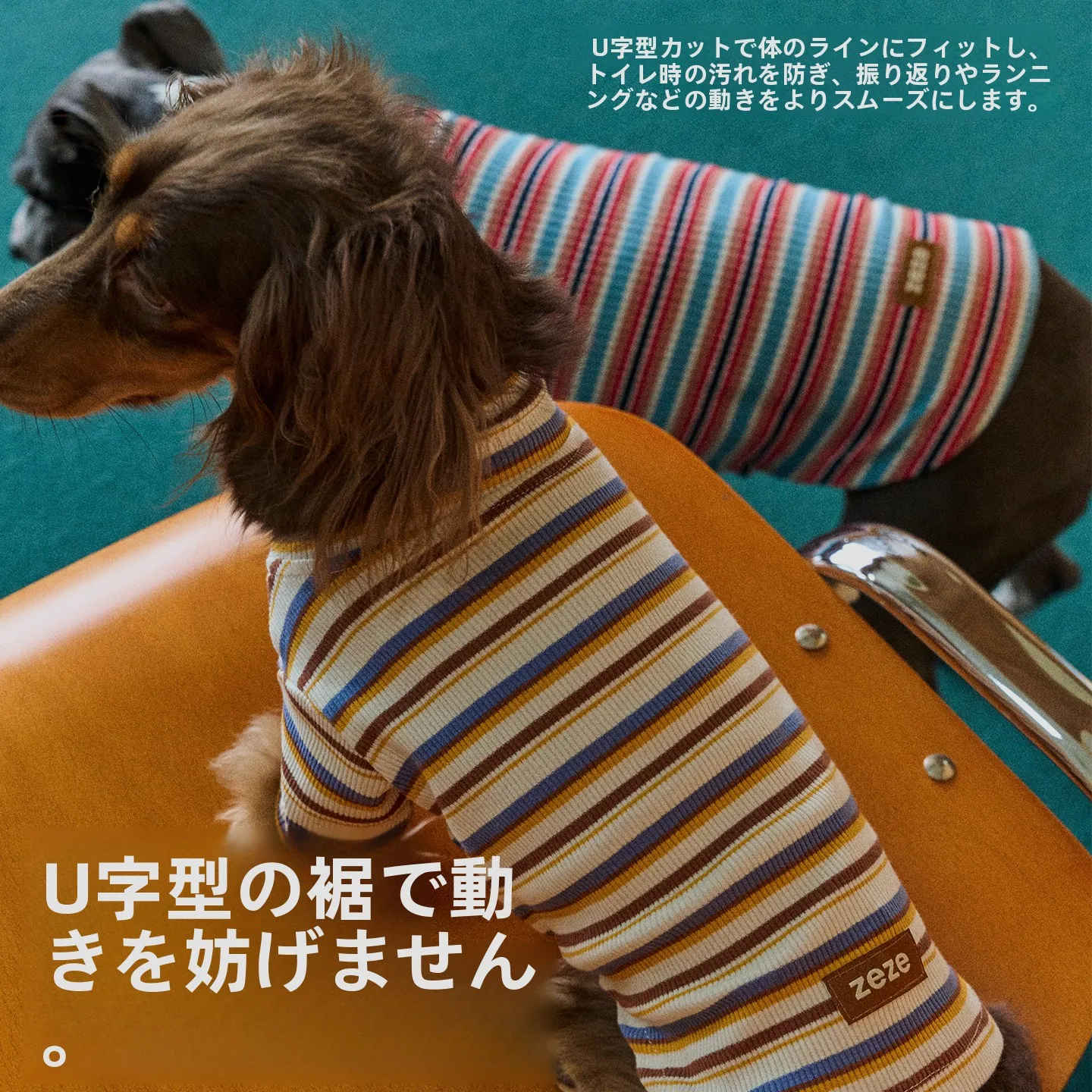 猫飼いが買ってよかったもの・悪かったもの正直に言う｜冬の着物選びの徹底解説