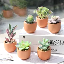 リアルな多肉植物風の造花鉢植え【クリエイティブデザイン・デスクトップ・リビングルーム装飾】