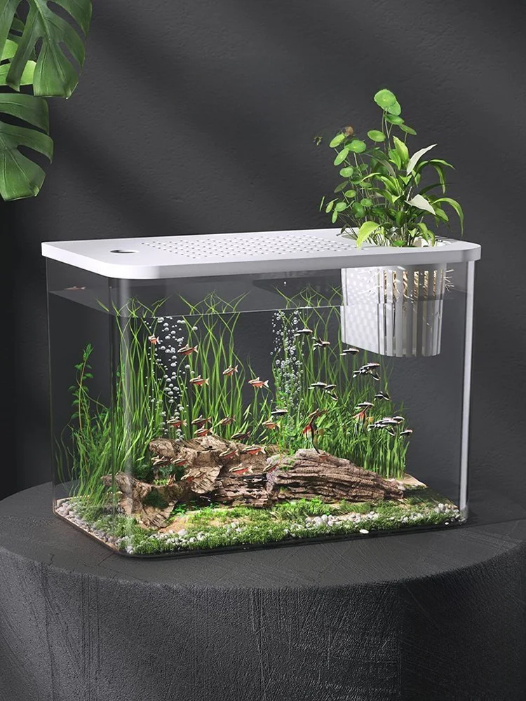 小型観賞魚水槽で水草を育てるための最適な設計とは？