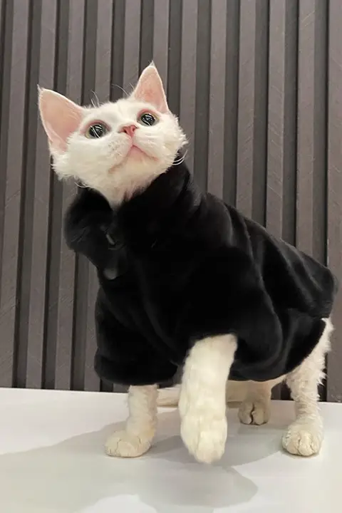 スフィンクス猫用 防寒ジップアップコート【極上の柔らかさ・厚手】
