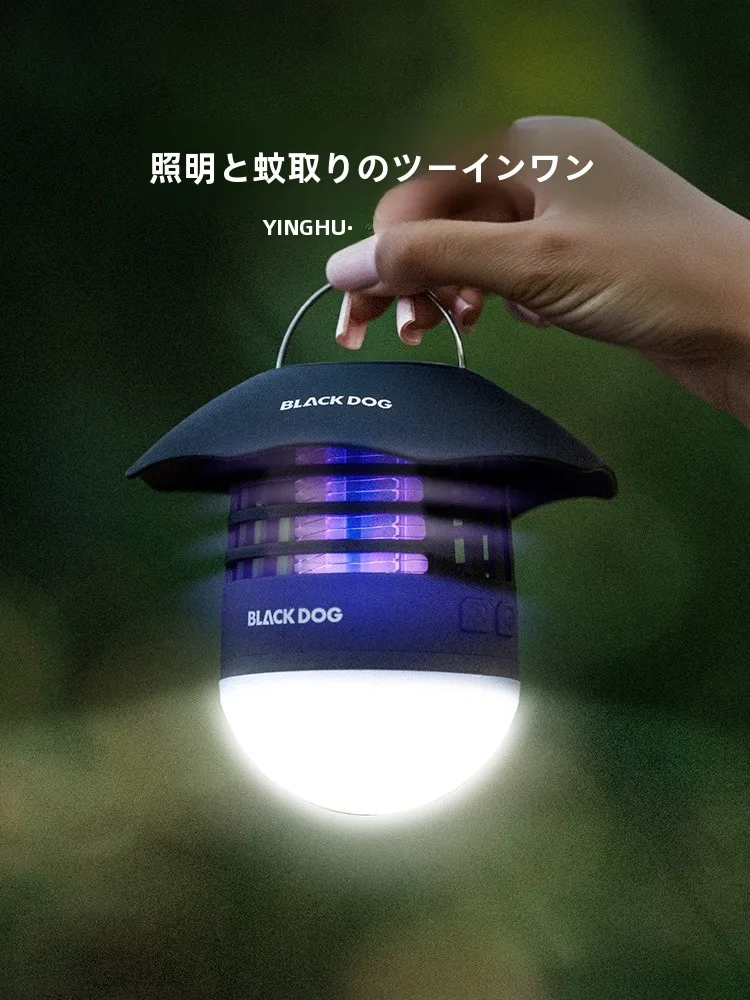 キャンプ道具をTAOで節約調達｜実際に使ってみた結果　完全ガイド