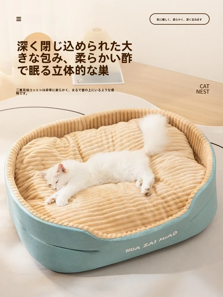 犬のお散歩グッズをコスパ良く揃える方法｜全包覆レインコートでコストパフォーマンスを徹底解説