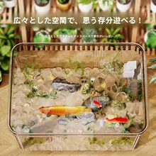 卓上用エコ水槽【アクリル製・小型・金魚・亀飼育用】