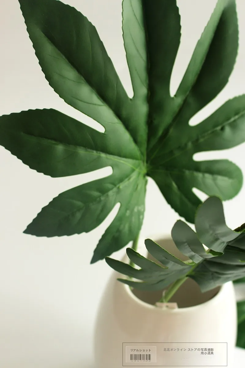 グリーンリーフとは何か：偽の植物トロピカルココナッツの葉の実際の用途と特性