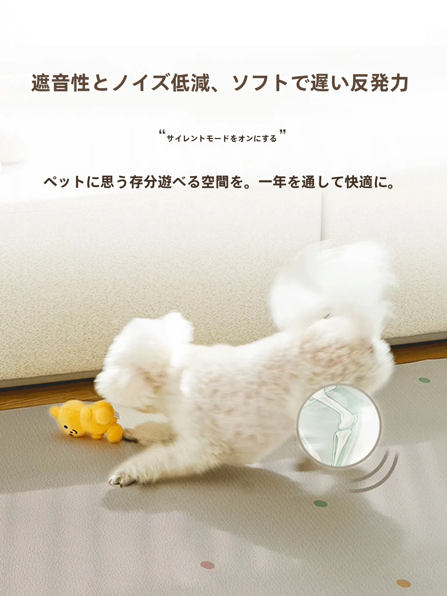 ホームセンターでペット用品を買うなら、この1品が本当に役立つ？