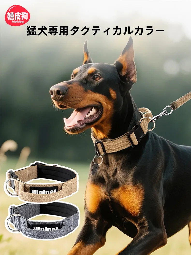 犬首輪とは何か：hipidog大型犬用首輪の設計と実用性を解説
