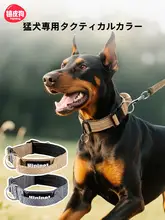 hipidog 大型犬用首輪【頑丈設計・金色・シンプル】