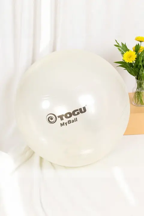 ドイツ製のプロフェッショナル柔らかいヨガボール【スイスボール・フィットネス用・ピラティス対応】