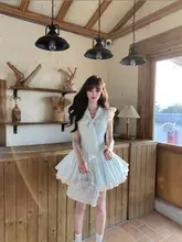 年間着用可能なペットファンワンピース【ドレス・スカート・トップス・セットアップ対応】