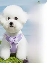 犬用ハーネス型リード【小型犬・お散歩用・快適設計】