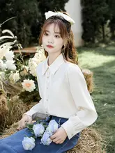 白鹅绒使用の長袖シフォンシャツ【タックデザイン・洗練されたカジュアルスタイル・通勤用】