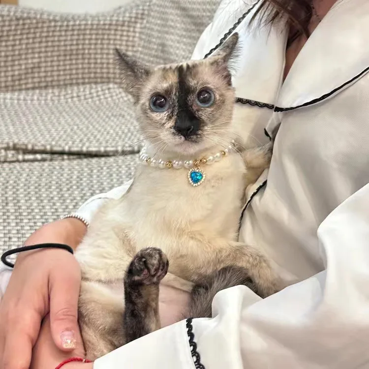 可愛いデザインのパール付きペットカラー：猫と犬用ハート型スワロフスキー装飾の実用性と選定ガイド