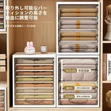 衣類収納ボックス【抽斗式・分格デザイン・便利な収納】