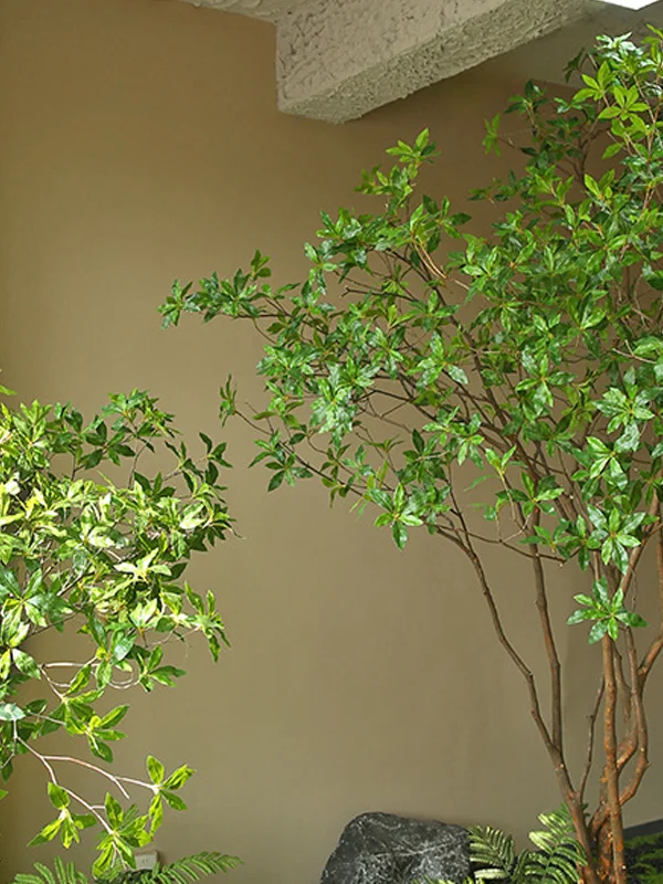 高級擬生植物マツバボタンの観葉植物【大型人工樹木・インテリア装飾用】