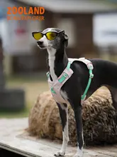 犬用ハーネスリード【中大型犬対応・引っ張り防止・快適設計】