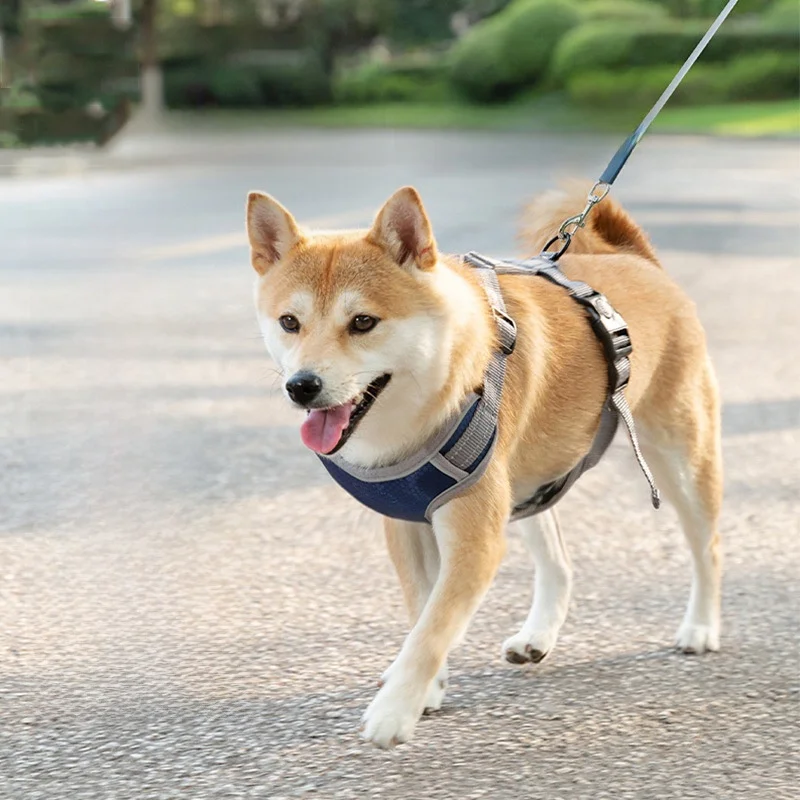 犬用胴着タイプのリード：小型・中型犬対応で引っ張り防止を実現