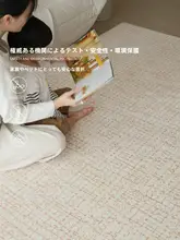 洗える二重構造のラグ【ブラウン・フレンチスタイル・リビング・寝室用】