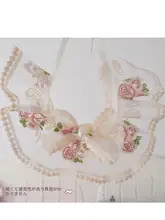 エプロン ぬいぐるみカラー ペット用 使用 レース フランス風 可愛い