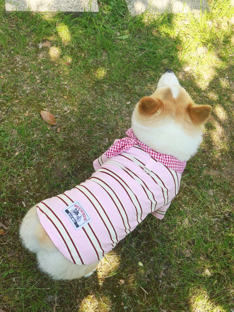 春夏用犬用ウェア：柴犬・コーギー向け短袖Tシャツの機能と適用シーン